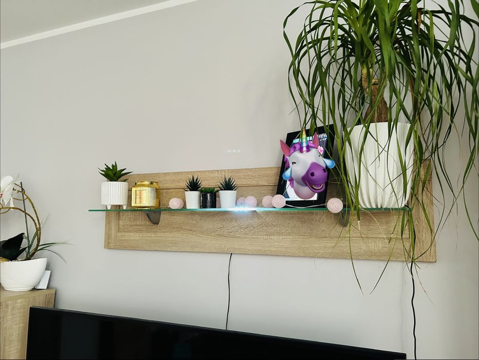 Meblościanka do salonu