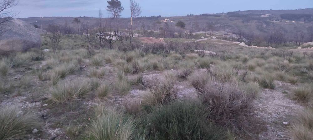 Terreno em Alvendre, Guarda