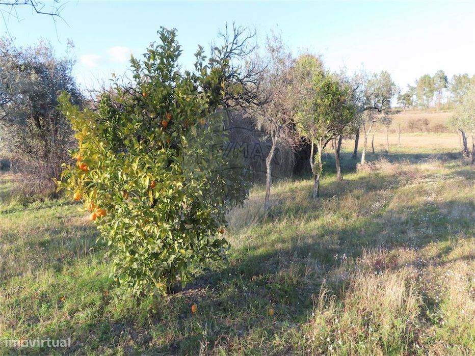 Quinta  para venda