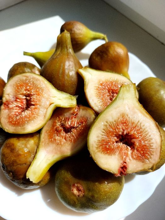 Саджанці інжиру, інжир