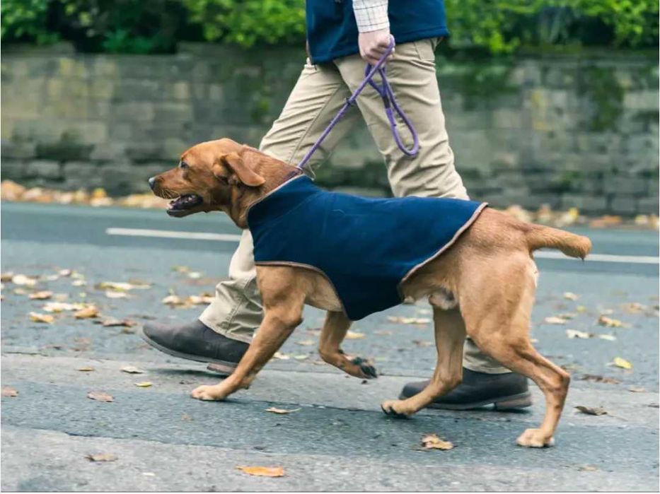 Jack Pyke of England флісова куртка попона для собаки - бульдог/мопс