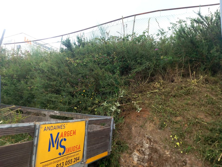 Limpezas com rocadouras