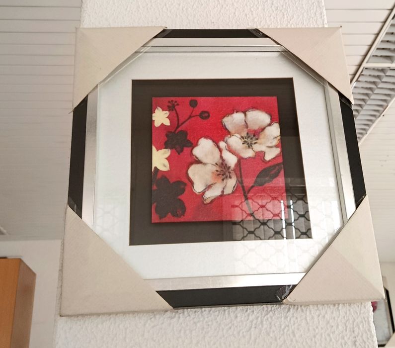 Vários quadros novos