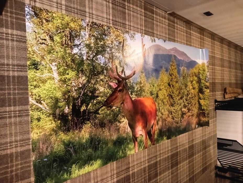 Fototapeta Bieszczady, Jeleń 290x130cm