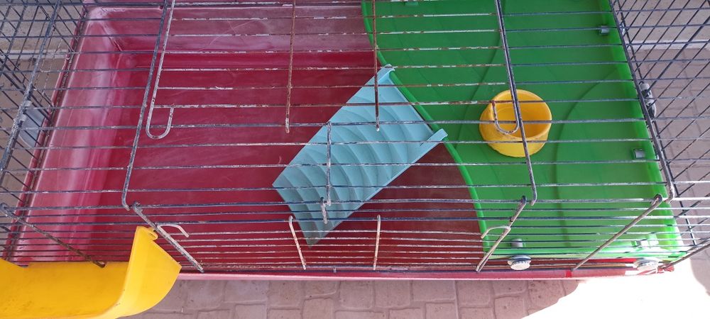 Gaiola jaula coelho anão porquinho da Índia roedores