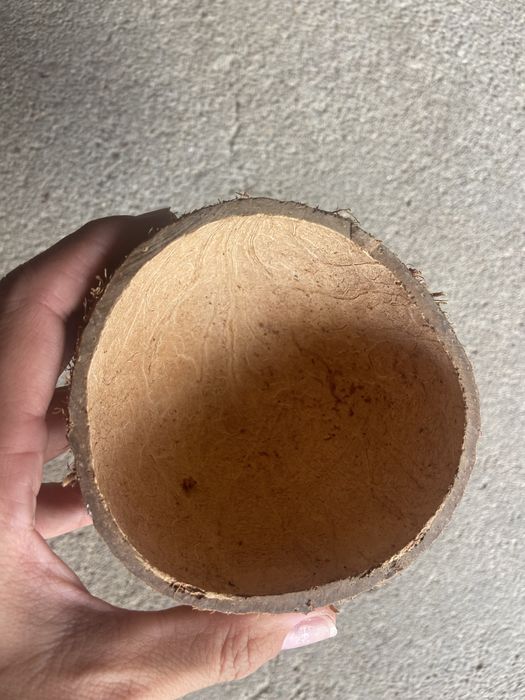 Vendo 300 metades de casca de coco