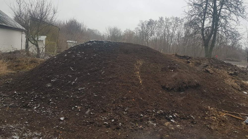 Перегній коров'ячий