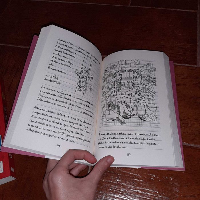 Livro Diário de uma Totó (N°1)