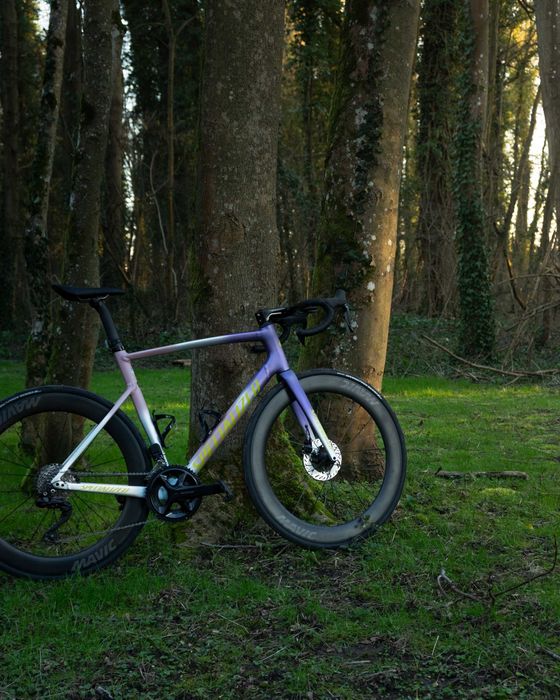 Specialized Allez Sprint 2025 – Tamanho 58 – Build 1 de 1