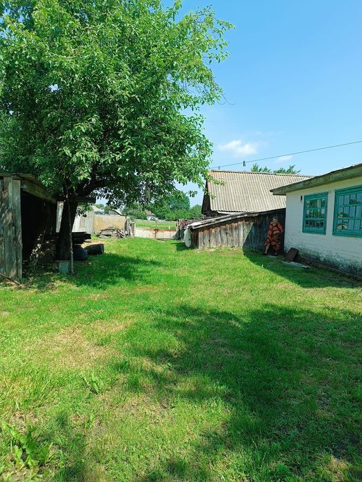 Цегляний будинок в с. Боромики