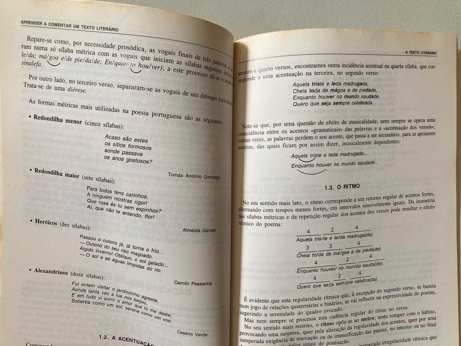 Aprender a Comentar um Texto Literário, de Luís de Lima Barreto