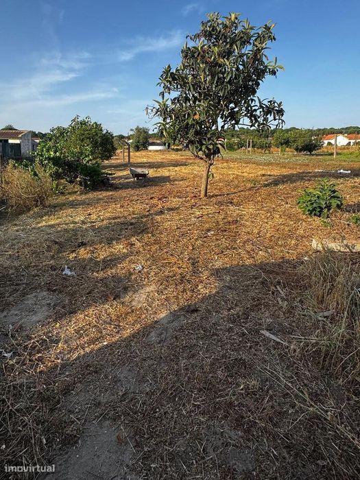 Moradia T2  com Garagem  e anexos inserida num lote de 1500 m2 de ter