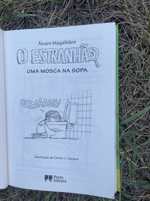 Livro bom para pré adulochetes de 10/12