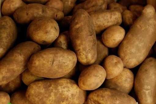 Ziemniaki frytkowe INNOVATOR, excellence, frytki