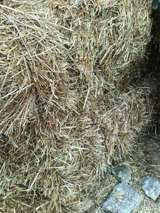 Palha para venda
