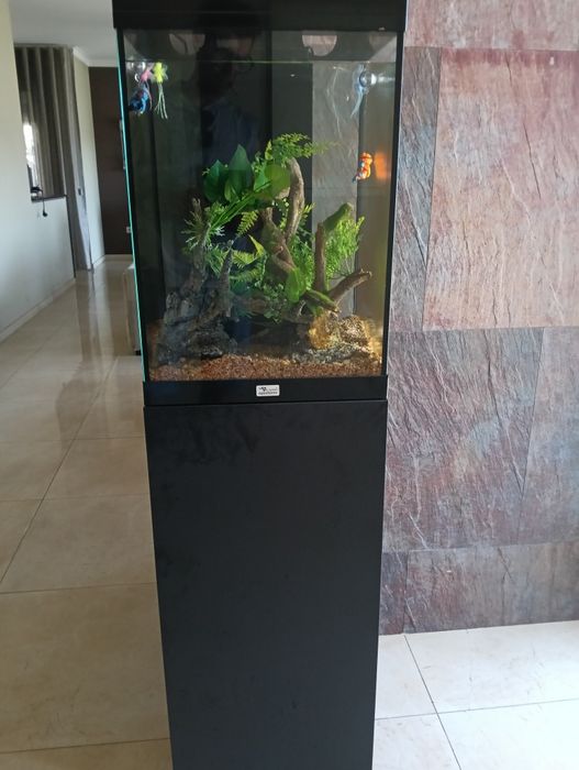 Aquário da marca aquatlantis