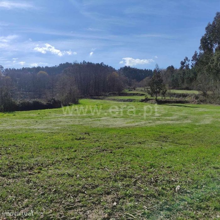 Quinta em Arnóia - Celorico de Basto