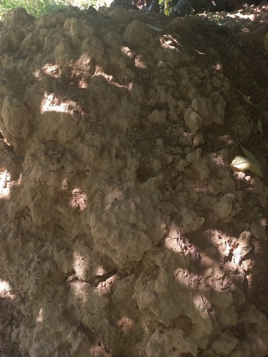 Глина безкоштовно