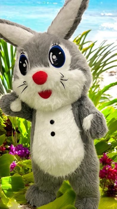 Привітання Ведмедиком, пандою, Тедді або зайчиком. Найкращі аніматори