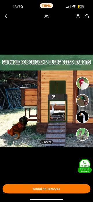 Drzwiczki kurnika automatyczne