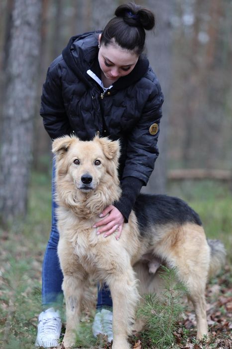 Piesek okolo 5 lat