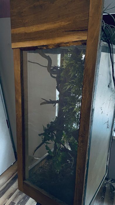 Terarium dla kameleona