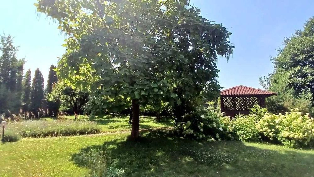 КМ «Денді» | 30 соток + будинок 435 м² | Віта-Поштова