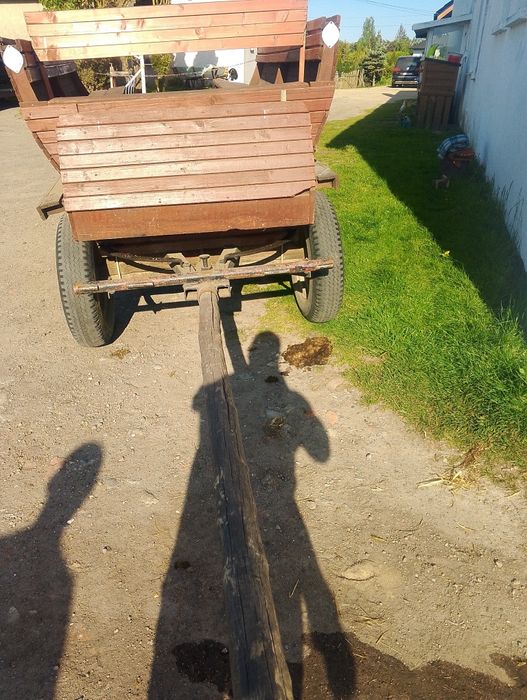 Sprzedam woz konny