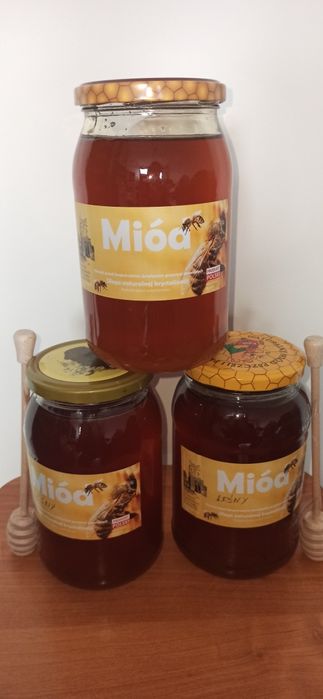 Miód  z własnej pasieki 1,2 kg
