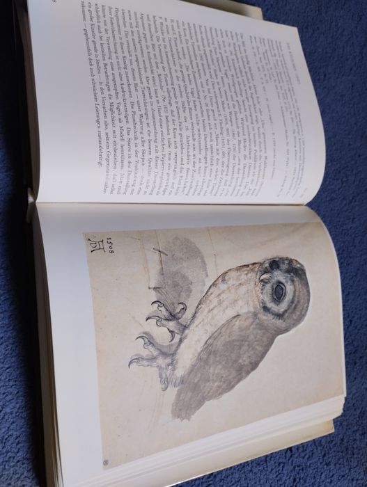 Die Dürer Zeichnungen der Albertina. Walther Koschatzky, Alice Strobl