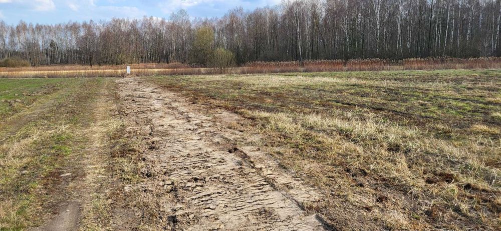 Działka 981 m² Siwianka nr 615 lub 616 obręb 1022 - Widok 5