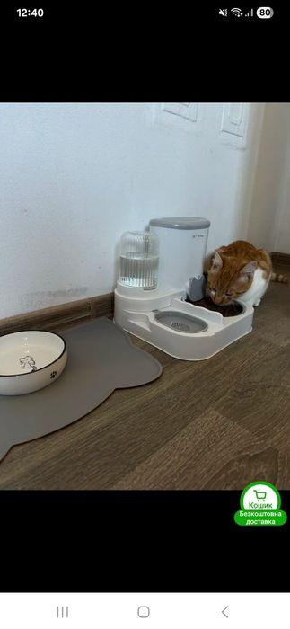 Автоматична годівниця та поїлка для котів і собак  з масками