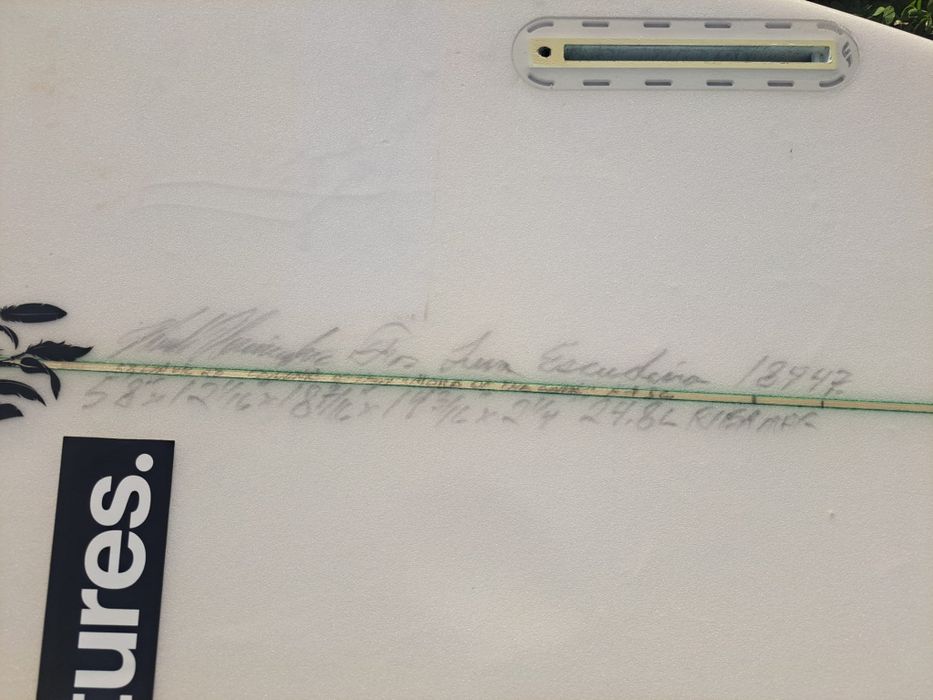 Pranchas de Surf Semente