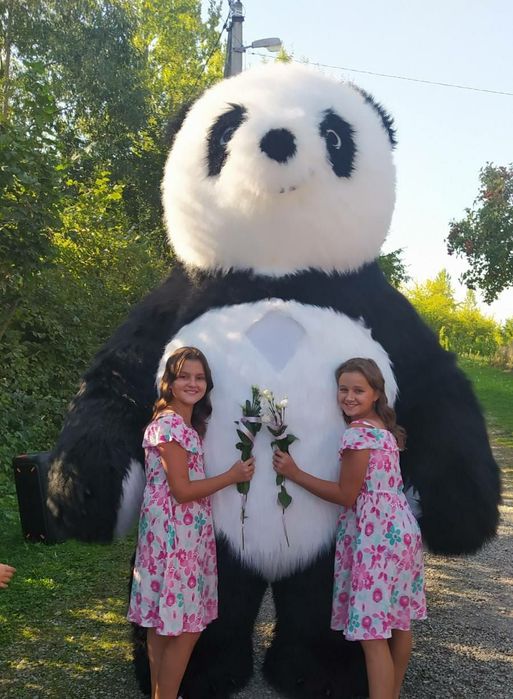 Аніматори Коломия.Білий ведмедик Хепі. Великий Панда