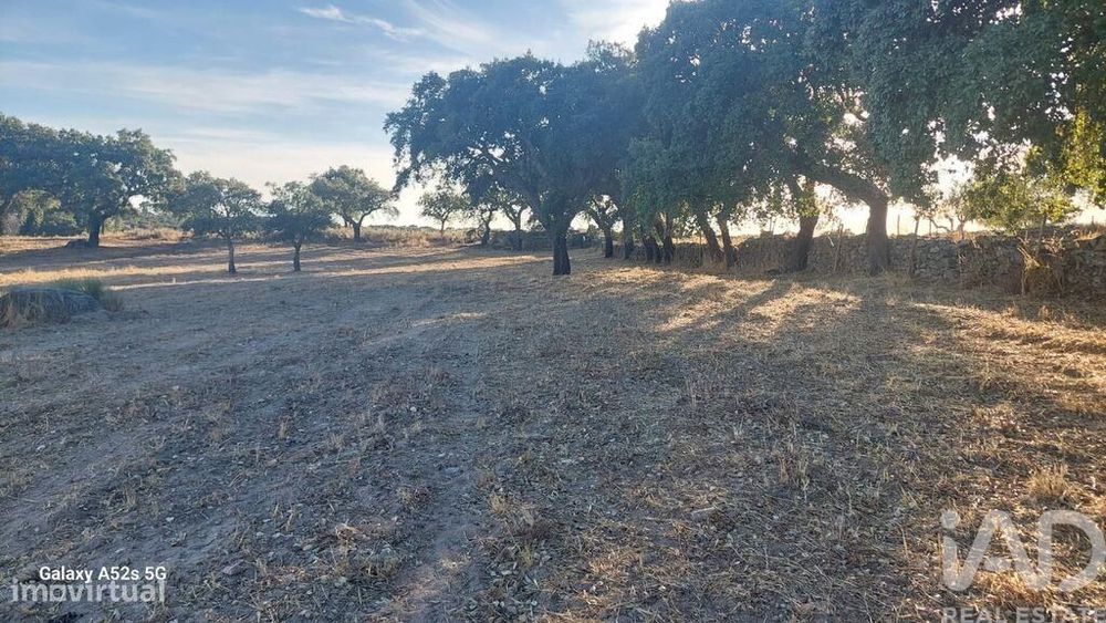 Terreno em Urra de 25000,00 m2