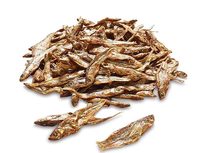 2200g Stinte stynka suszone naturalne rybki pokarm dla gadów i płazów