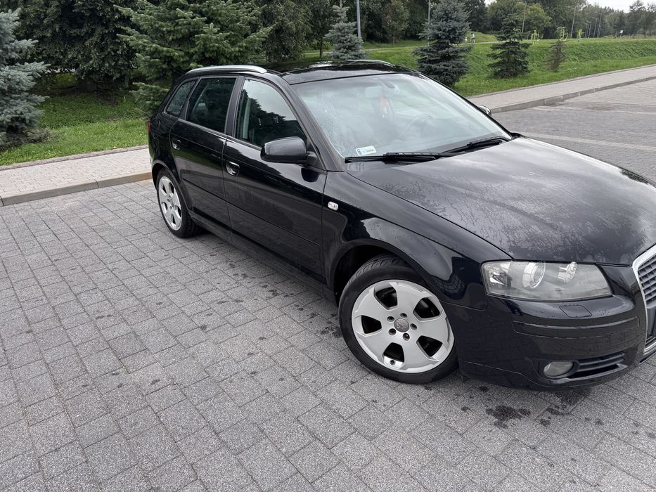 Audi A3 8P 1.9 TDI