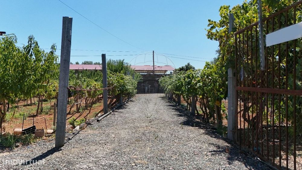 Terreno  para venda — Serpa (Salvador E Santa Maria), Beja