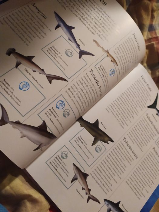 Enciclopédia da Vida nos Oceanos