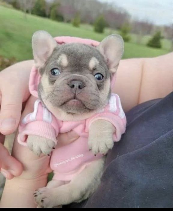 Чудовий хлопчик;}