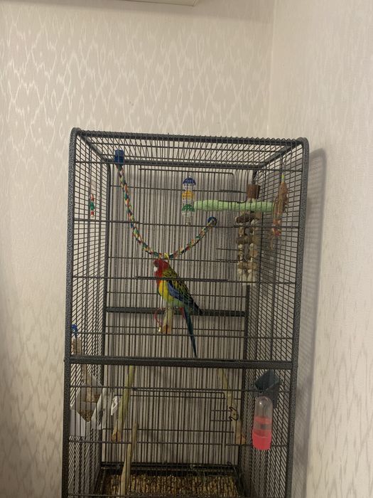 Продам велику клітину для папуг