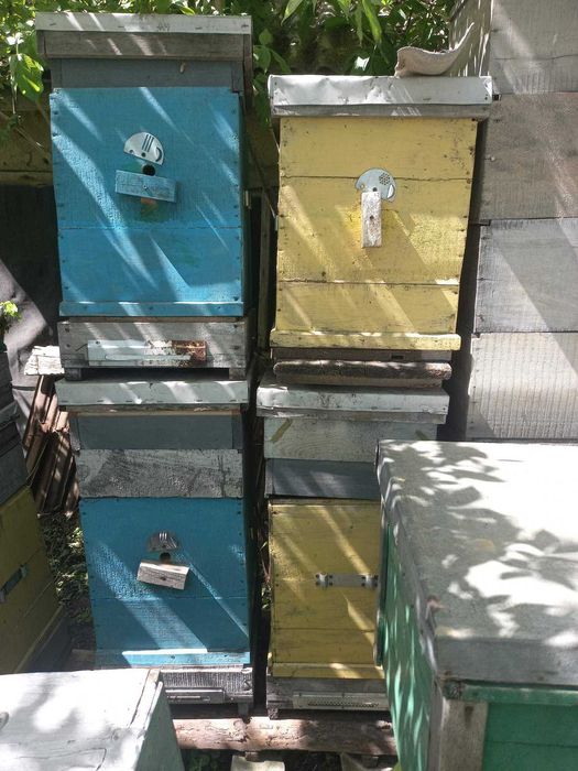 Вулики на українську рамку. Корпусні !!! Дешево. Самовивоз.