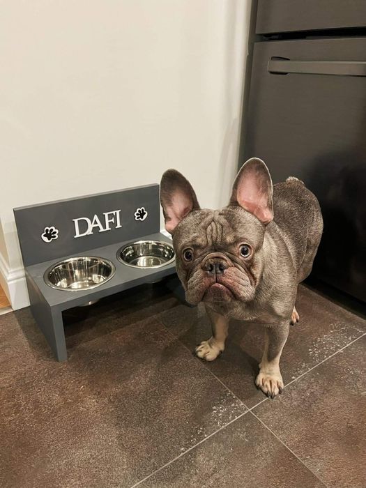 miski dla psa kota na stojaku