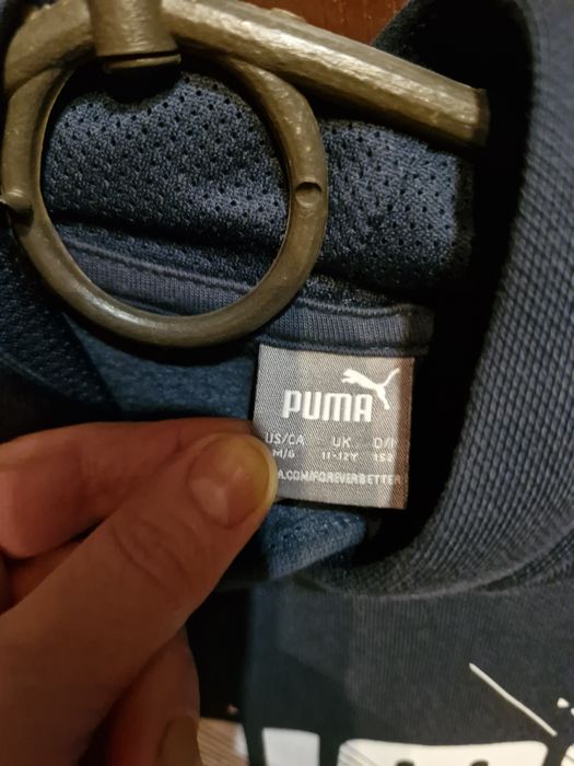 Толстовка, кенгурушка, світшот з капюшоном