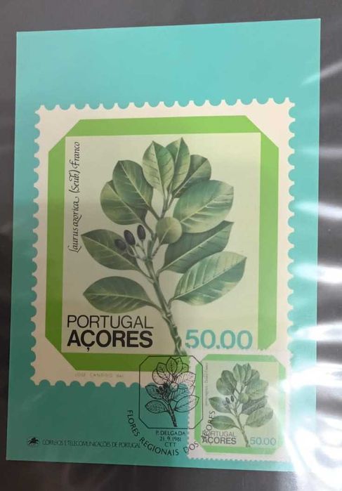 Postais Portugal Açores Flores Regionais