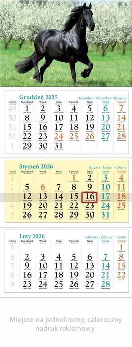 Kalendarz 2026 ścienny trójdzielny Koń. Lucrum. Nowy Produkt