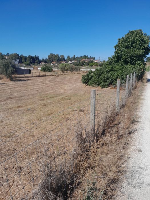 Arrendamento terrenos