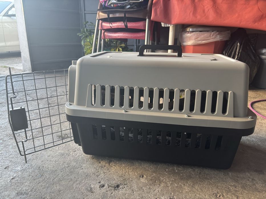 Transportadora de animais