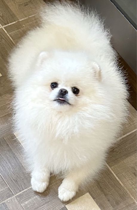 Супер кровi,в’язка i/о