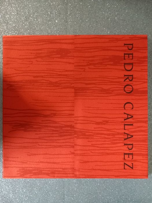 Pedro Calapez – Wall Against Wall / Interiors / Inventions, Caprices, Arch.64553197798147120